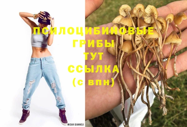 соль ск Балахна